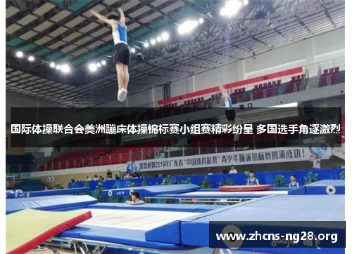 国际体操联合会美洲蹦床体操锦标赛小组赛精彩纷呈 多国选手角逐激烈 国际体操联合会美洲蹦床体操锦标赛小组赛精彩纷呈 多国选手角逐激烈