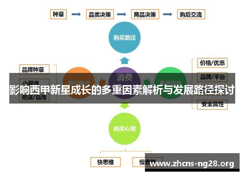 影响西甲新星成长的多重因素解析与发展路径探讨 影响西甲新星成长的多重因素解析与发展路径探讨