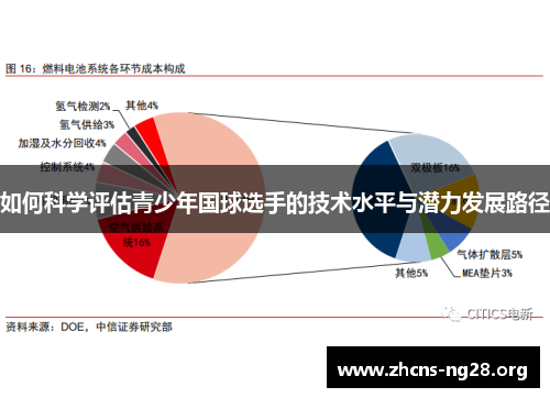 如何科学评估青少年国球选手的技术水平与潜力发展路径 如何科学评估青少年国球选手的技术水平与潜力发展路径