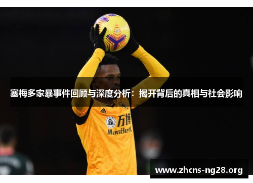 塞梅多家暴事件回顾与深度分析：揭开背后的真相与社会影响