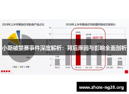 小斯被禁赛事件深度解析:背后原因与影响全面剖析 小斯被禁赛事件深度解析:背后原因与影响全面剖析