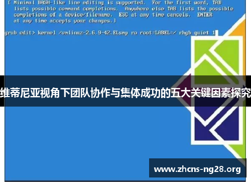 维蒂尼亚视角下团队协作与集体成功的五大关键因素探究 维蒂尼亚视角下团队协作与集体成功的五大关键因素探究